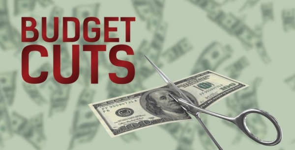 Organize Using the People's Budget